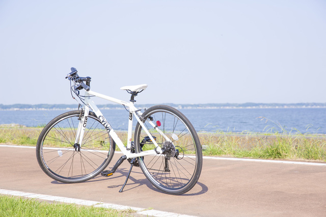 かすみがうらライドクエスト フルーツ秋フェス 