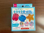 【ダイソー /つくろう!キラキラせっけん】型つきの簡単キットです