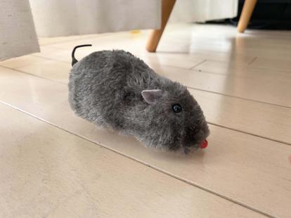 ダイソー ペット用品も充実 楽しく便利な 猫のお世話グッズ 5選 1 2 ハピママ