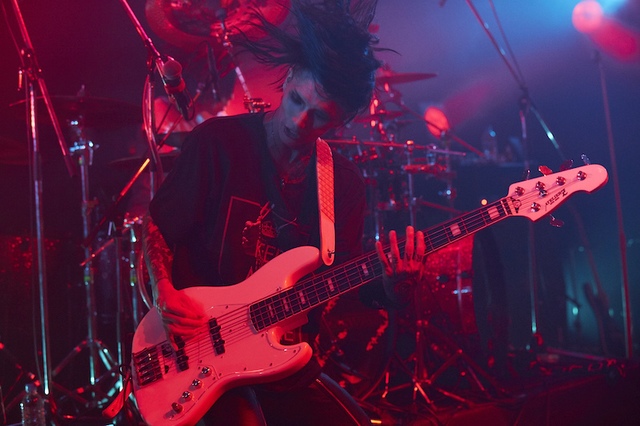 THE BLACK SWAN　RENA