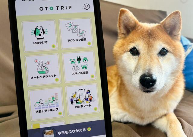 【オトとりっぷ】犬専用の音楽が流れる音楽プレイヤー付きペットカメラアプリ