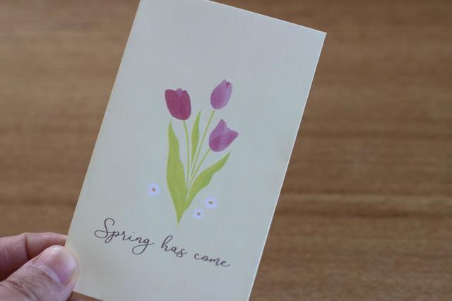 【ダイソー】ぽち袋　チューリップ／税込110円