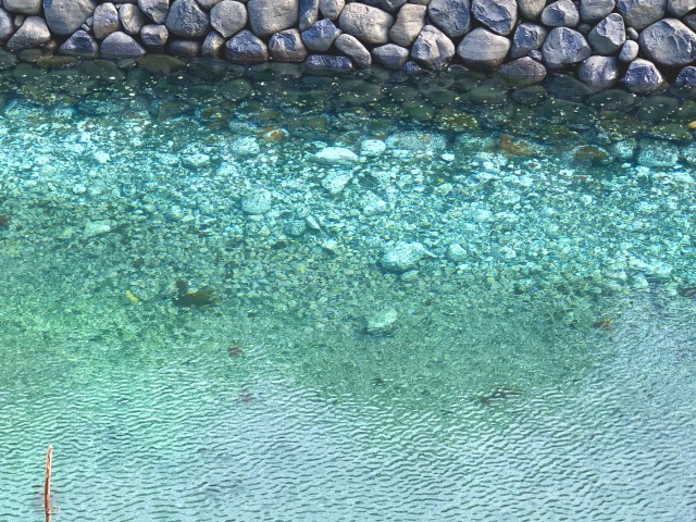 糸島の海は驚くほど青くて美しい