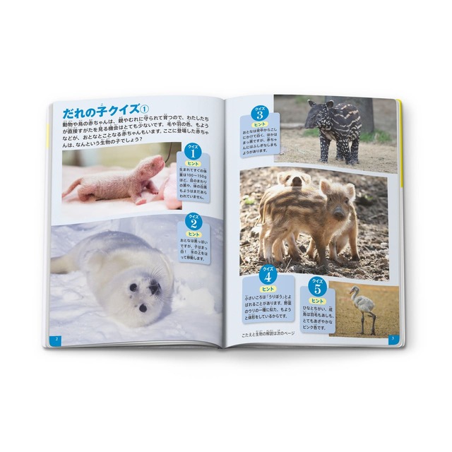 【マクドナルド　ハッピーセット】ミニ図鑑「動物の赤ちゃん」