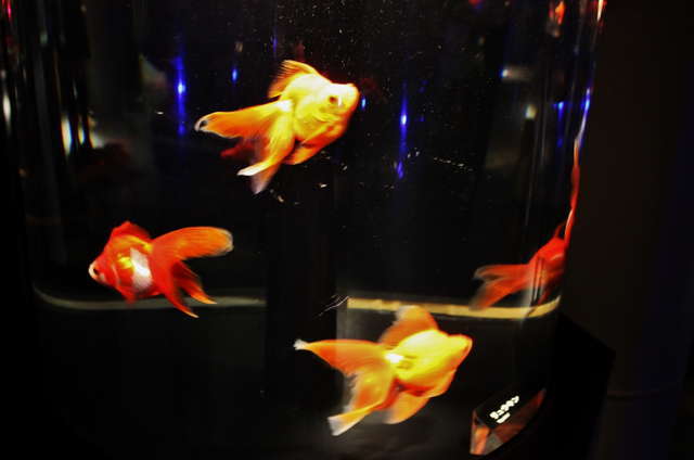 ぬるぬる＆にょろにょろな不思議ないきものたち