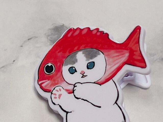 ハチワレ模様とダンスをしているおててがかわいい…！