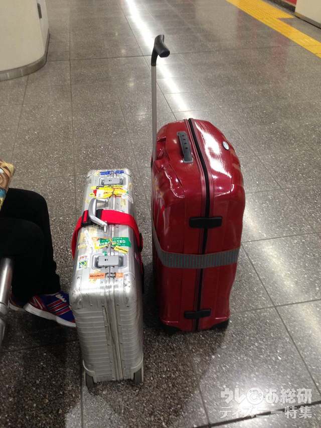 スーツケース用のベルトもお忘れなく