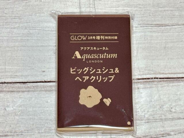 付録は「Aquascutum（アクアスキュータム）ビッグシュシュ＆ヘアクリップ」