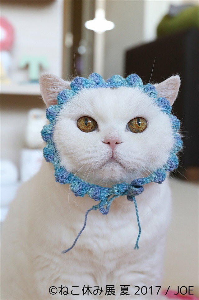 ねこ休み展 夏 2017