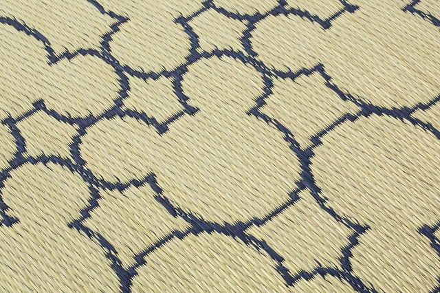 【2021春夏】い草ふんわりラグ ディズニー