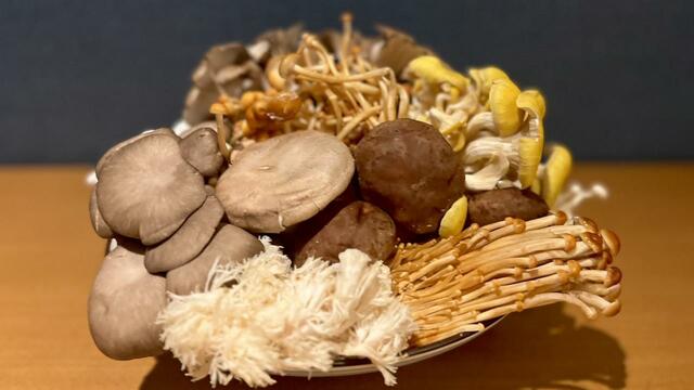 「10種類のキノコ」【11月のケナシバ食べ放題コース】