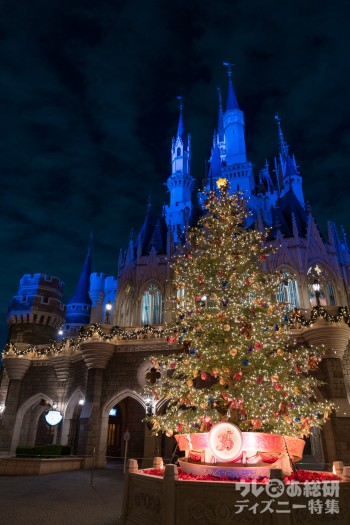 シンデレラ城裏のクリスマスツリー｜東京ディズニーランド「ディズニー・クリスマス」2018年