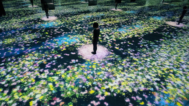 『花と人、コントロールできないけれどもともに生きる、永久に-Tokyo』1 チームラボ,2014,インタラクティブデジタルインスタレーション