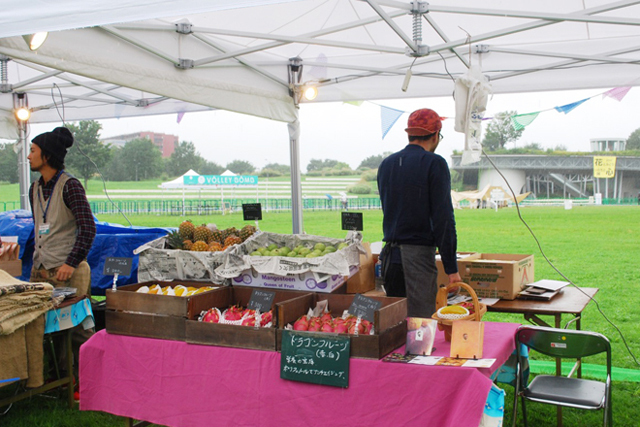 ドラゴンフルーツやパイナップルなど、ヨーグルトと合わせたり、 スムージーにしたりするのにピッタリなくだものがたくさん並んでいます。