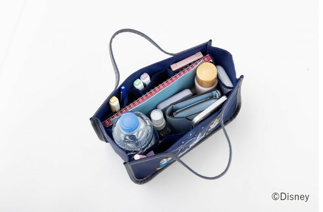 Walt Disney World BAG IN BAG BOOK