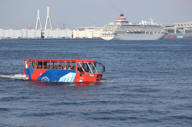 ©2019 Pokemon. ©1995-2019 Nintendo/Creatures Inc. /GAME FREAK inc.