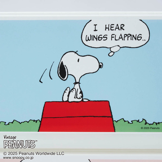 4コマデザインの収納チェスト 「スヌーピー」|¥10,800 (税込)