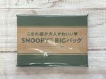 付録は「SNOOPY BIGバッグ
