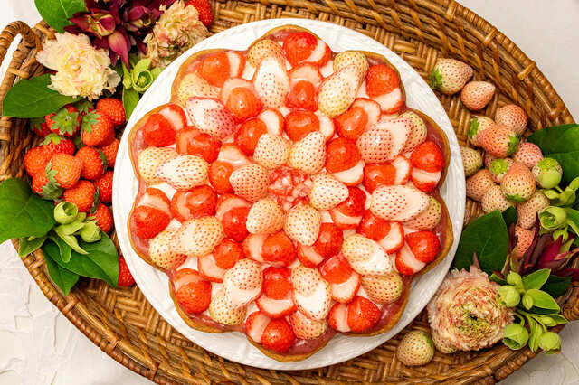 【キル フェ ボン「特選 白イチゴと桃薫のタルト～ロイヤルミルクティー風味～」】3月15日の販売予定のミルクティーとイチゴのタルト