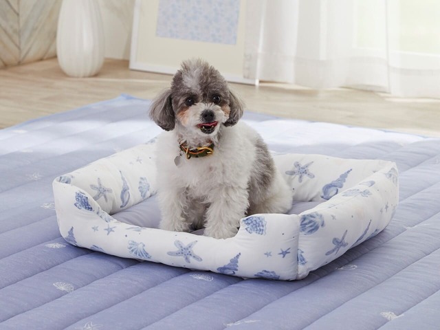 ニトリ　デコホーム「ペットベッド 角型 Nクールスーパー（シェル）」1,490円、「ペットゴロ寝パッド Nクールスーパー（BOHO）」1,490円