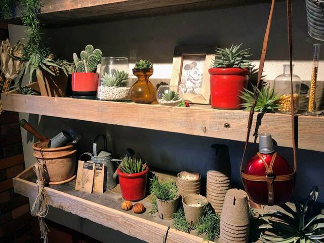 ミッキーマウスデザインの部屋「Disney HARVEST MARKET(ディズニー・ハーベスト・マーケット) By CAFE COMPANY」横浜赤レンガ倉庫店