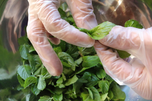 1枚1枚葉だけを摘み取って使用。