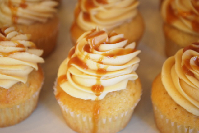 モナーク カップケーキ／「ソルティッドキャラメル」