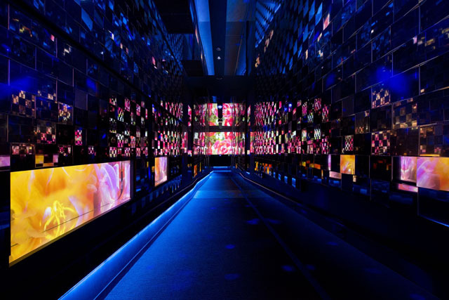 美しい! 「蜷川実花×クラゲ」の超幻想世界