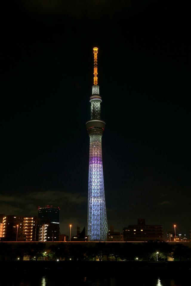 ラッコをイメージしたライティング