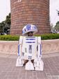 Dハロ 全身仮装 2024｜KATSUさん｜R2-D2