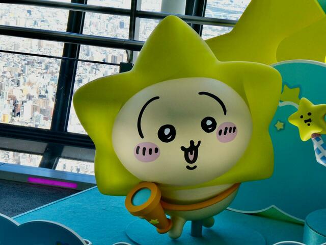 うさぎはなんと星の被り物をしています！星に包まれたお顔がキュート！