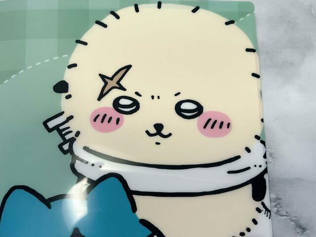 いつも凛々しいラッコ！