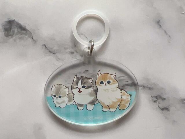 風に吹かれているにゃんこたちがキュート！