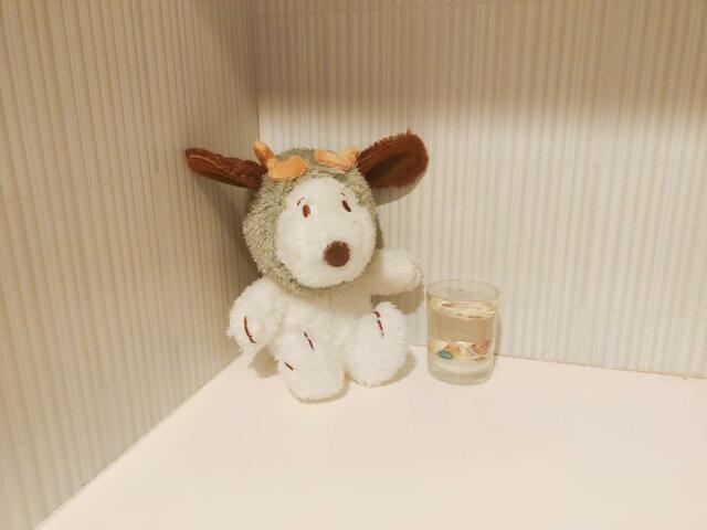 お部屋のインテリアにも