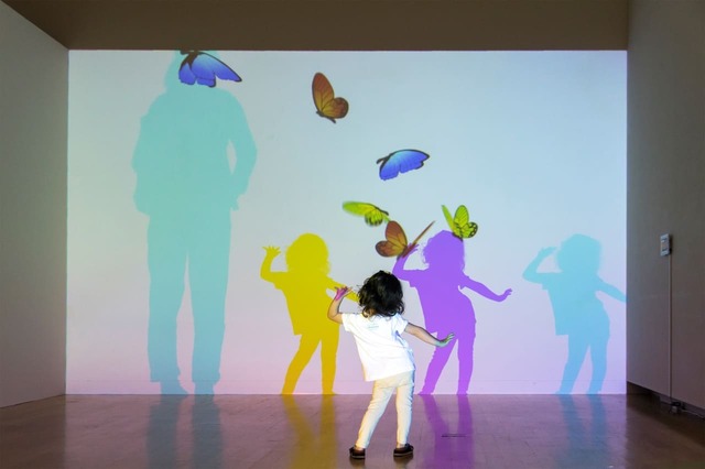 《色のある夢》 藤本直明 ©naoaki FUJIMOTO/作品の空間の中に入ってみると、自分の影が七色の影となって、いくつも現れます。