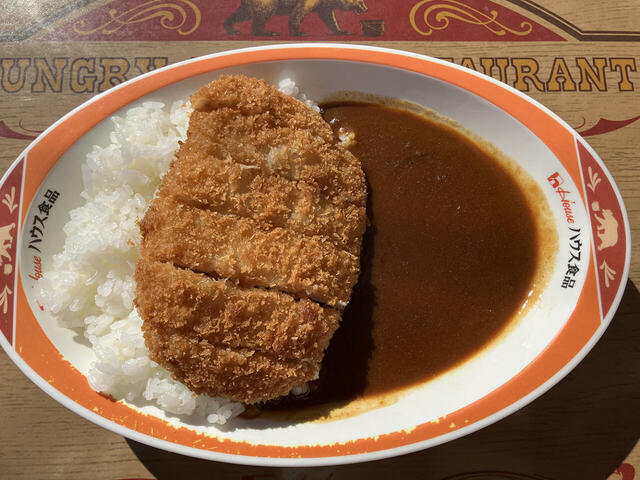 ちゃんとしたメニュー「ポークカツカレー」(1,100円)も。ボリュームあり。