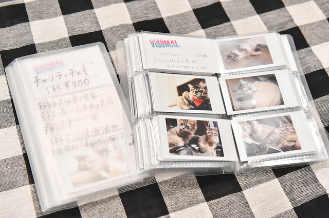 GENGAH.の hajimeさんから提供された、hajimeさんがVISUMALから引き取った愛猫のチェキ。