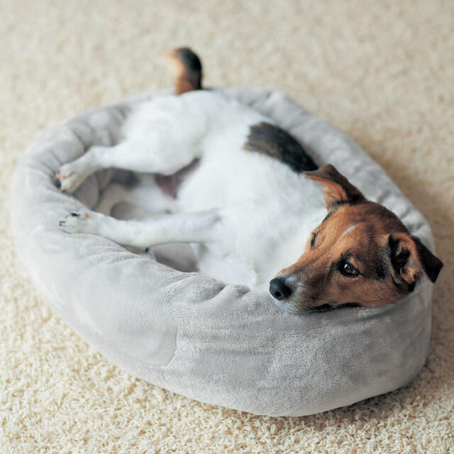 【ベルメゾン】「メルトロ」シリーズ