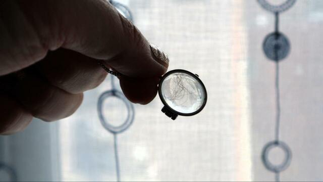 逆光に当ててみたらちょっといい感じ【フェリシモ 猫部  猫毛を入れられるロケットペンダント】