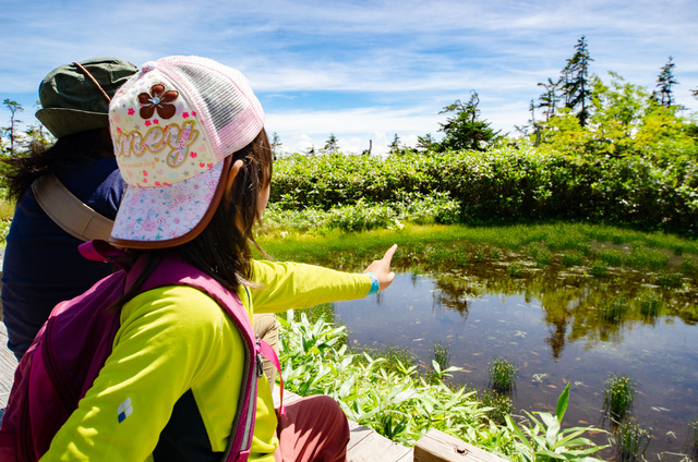 モウセン池｜栂池自然園
