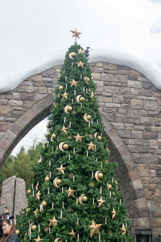 ホグズミード村のクリスマス・ツリー｜ウィザーディング・ワールド・オブ・ハリー・ポッター｜ユニバーサル・スタジオ・ジャパン