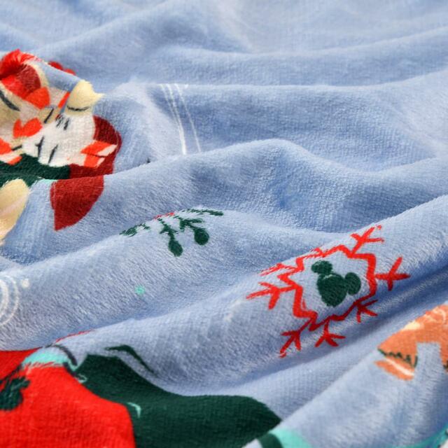 ミッキー&フレンズ ブランケット リバーシブル 巾着入り DISNEY CHRISTMAS 2022 4,400円