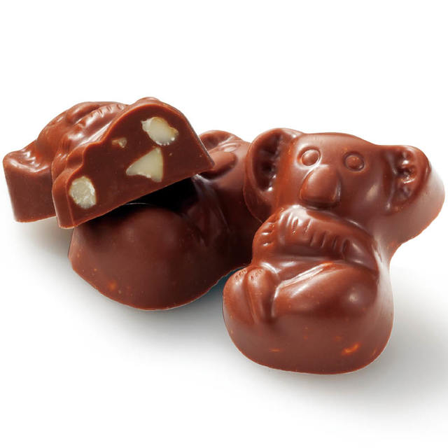 コアラ マカデミアナッツチョコレートミニ