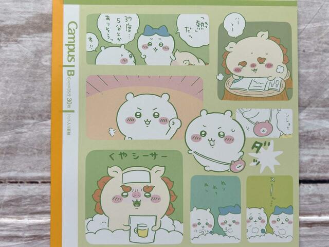 シーサーが頑張って取得したスーパーアルバイターの資格が廃止になってしまうかも…というエピソード。勉強を頑張りすぎたシーサーは発熱してしまいます