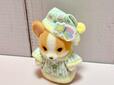 コーギーらしい大きな耳と、ふっくらしたほっぺがかわいすぎる〜！