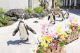 7月4日まで開催される「#はなパラ」では、季節の花々の中をペンギンたちが歩く「ケープペンギンのパレード」など、生きものたちとお花見できるイベントを開催中。　横浜・八景島シーパラダイス【神奈川・八景島】