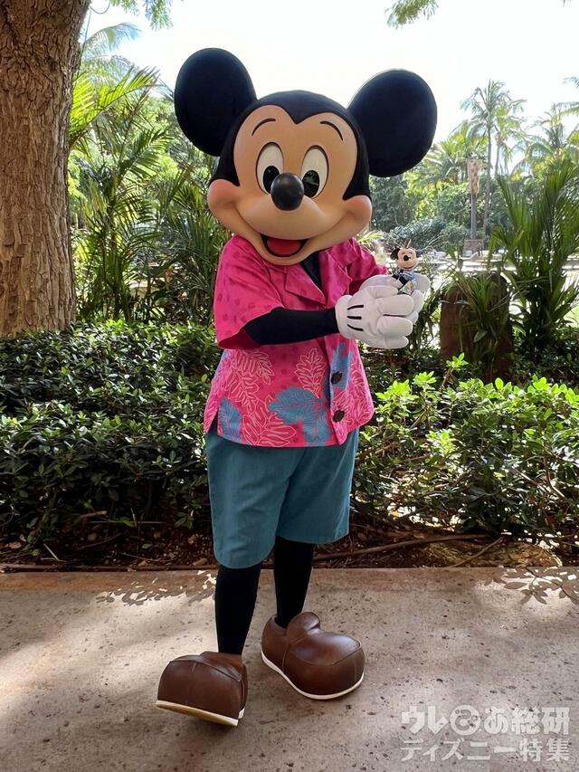 アウラニで会えるキャラクター