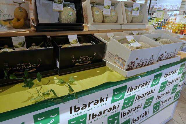 IBARAKI sense 店内 メロンのコーナー