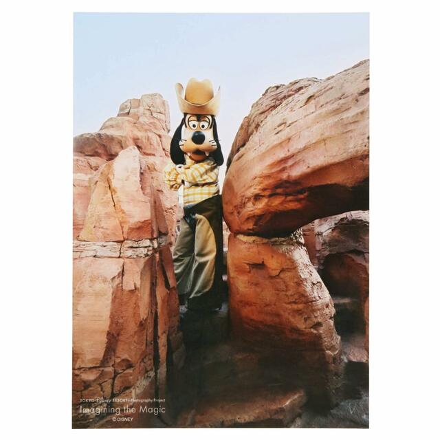 写真 500円|東京ディズニーリゾート・フォトグラフィープロジェクト「イマジニング・ザ・マジック」第2弾グッズ|東京ディズニーリゾート40周年“ドリームゴーラウンド”|発売日:2023年12月7日(木)|販売店舗:東京ディズニーランド「グランドエンポーリアム」、東京ディズニーシー「ヴァレンティーナズ・スウィート」