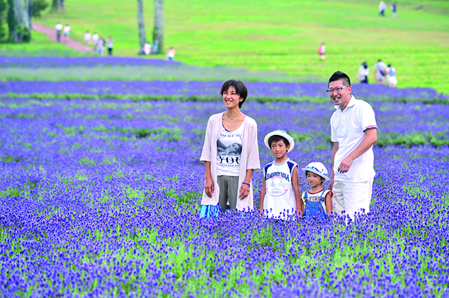 たんばらラベンダーパーク　